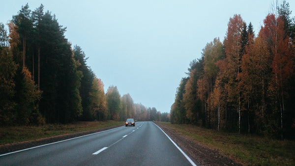 Fall Driving Hazards Most People Ignore: Wet Leaves, Frost, Deer, and Sun Glare