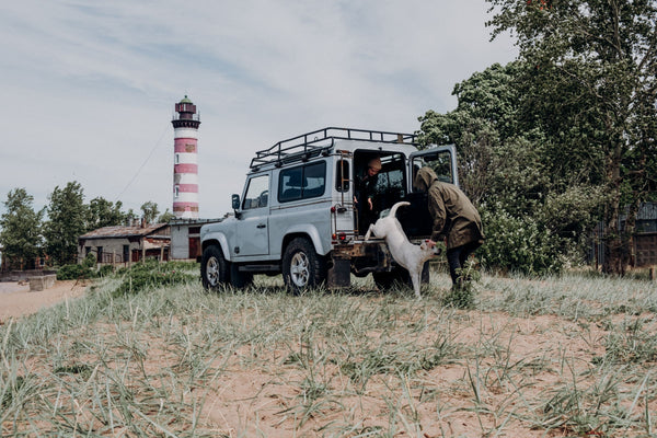 How to Safely Secure Your Dog or Cat in the Car for Every Road Trip