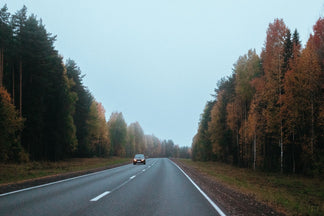 Fall Driving Hazards Most People Ignore: Wet Leaves, Frost, Deer, and Sun Glare