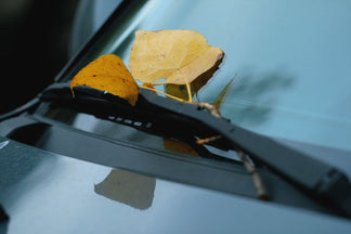 How to Replace Windshield Wipers: The 10-Minute Fall Maintenance Task Most Drivers Ignore