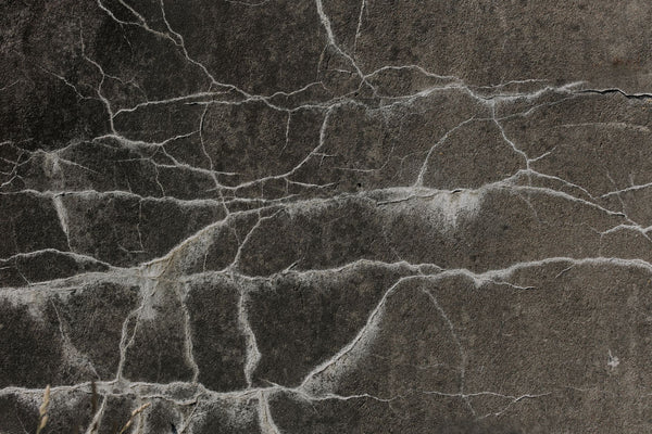 What Is Dry Rot on Tires? How to Spot It Before It's Too Late
