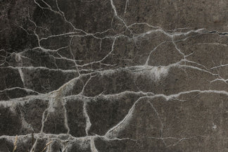 What Is Dry Rot on Tires? How to Spot It Before It's Too Late