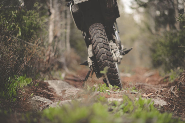 Motorcycle Tire Care: What Every Rider Should Check Monthly