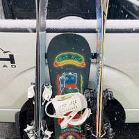 SnoStrip™ Magnetic Vehicle Ski Pad - Image 5 - JACO